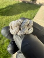 Natural Diamond Miami Cuban Link Ring – Solid 14K White Gold | 15MM | Size 8.5 - Image 4